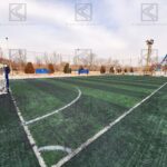 چمن مصنوعی Fl-13